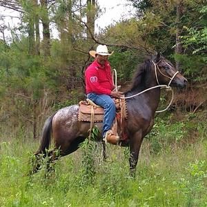 Meet your Posher, Leon